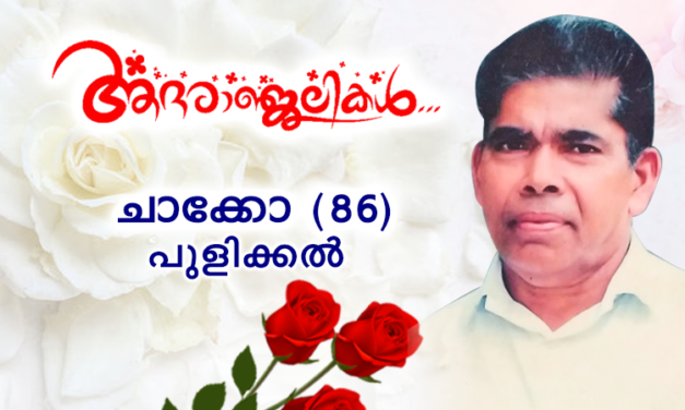 ചാക്കോ പുളിക്കൽ (86) നിര്യാതനായി.